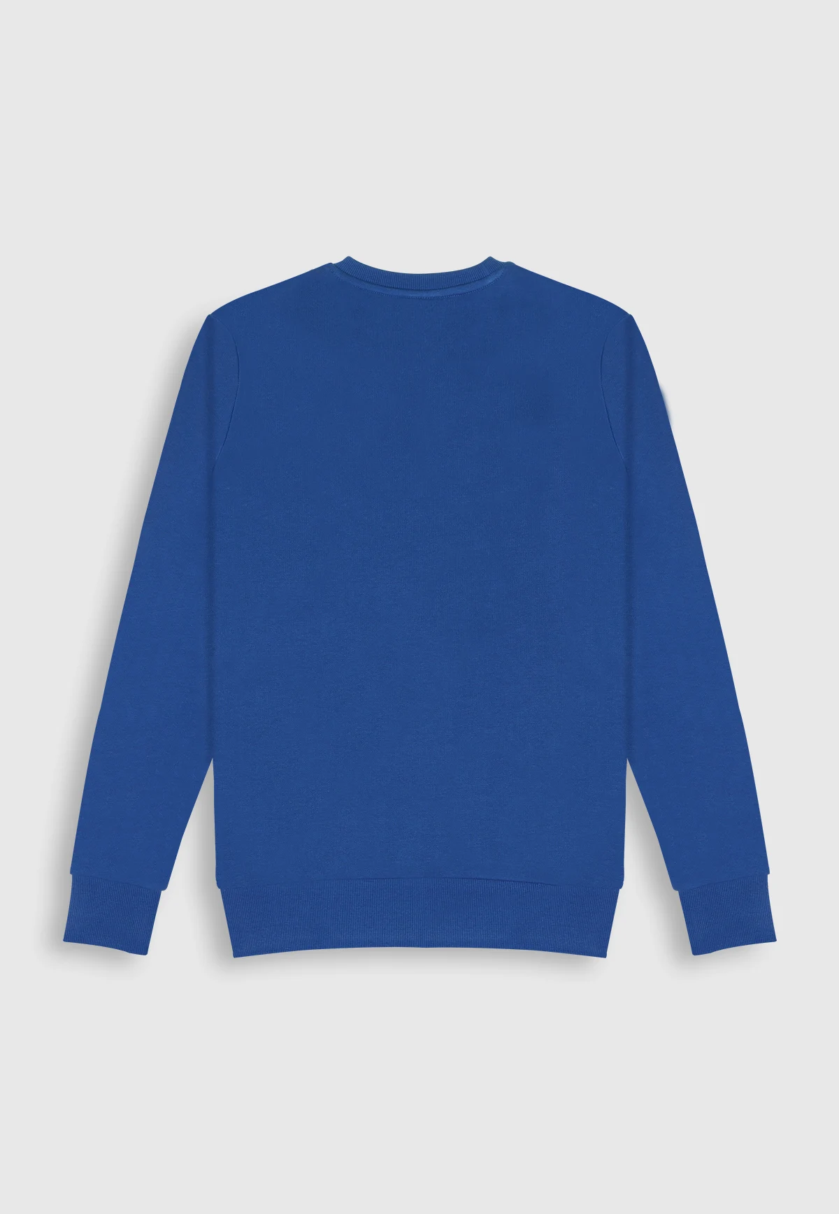 Blue Sweatshirt in Cotton-Terry - Image 2