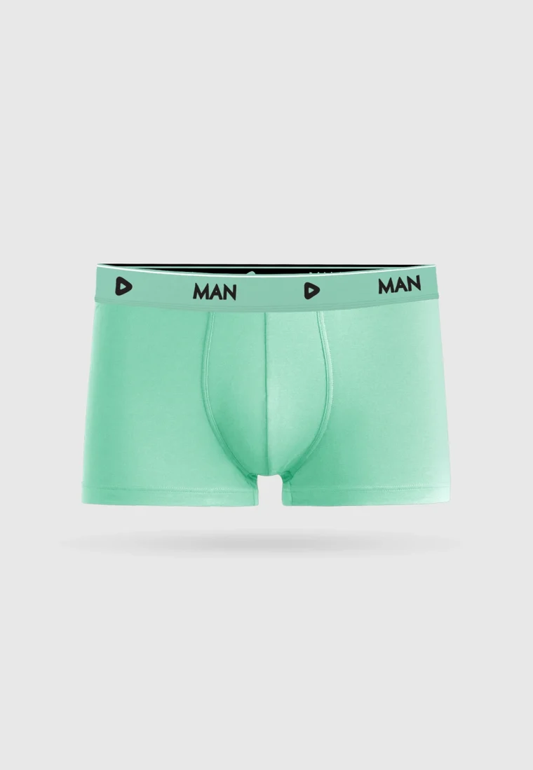 Mint Boxer Brief