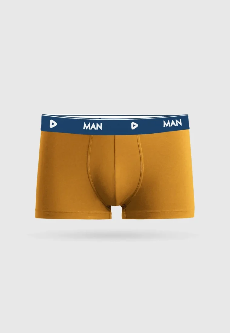 Brown Boxer Brief